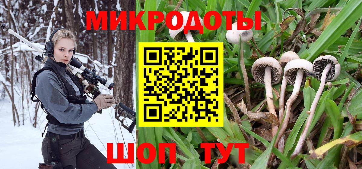 Балашиха  Галлюциногенные грибы Cubensis  Галлюциногенные грибы мухоморы  Вход с VPN 