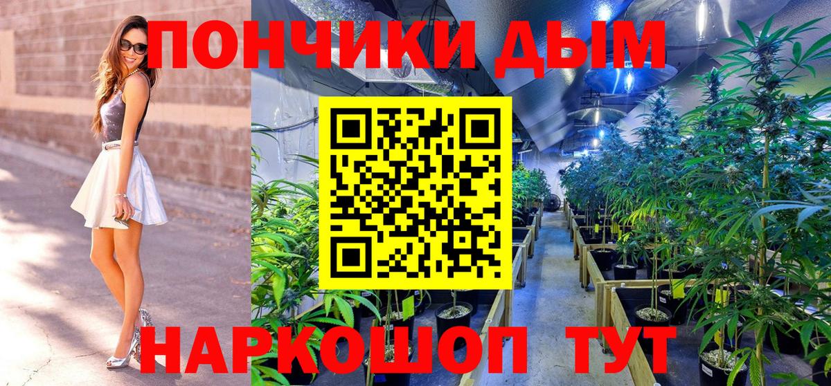 Марихуана план  Канабис гибрид  Вход с VPN  Марихуана марихуана  Балашиха 